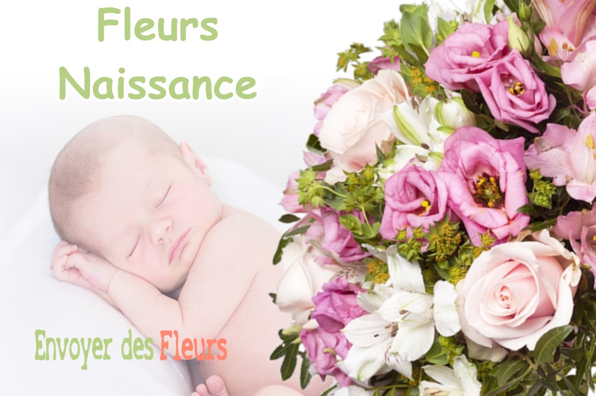 lIVRAISON FLEURS NAISSANCE à BLAUSASC